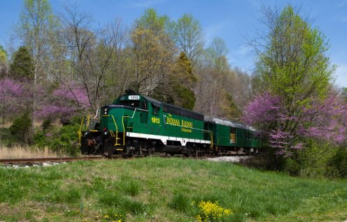 A green and white train travels along a track surrounded by blooming trees and lush greenery on a sunny day.