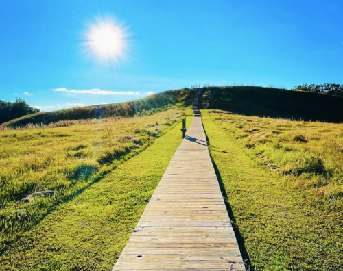 A wooden pathway leads through green grass towards a hill under a bright blue sky and shining sun.