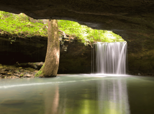 A serene waterfall cascades into a tranquil pool, surrounded by lush greenery and a rocky overhang.