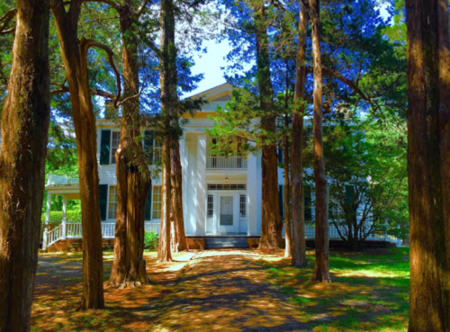 A large white house surrounded by tall trees, with a pathway leading to the entrance. Bright blue sky above.