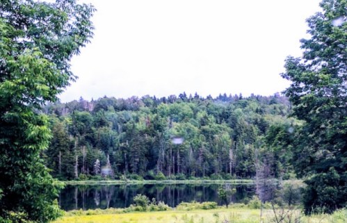 Lush green forest reflected in a calm lake under a cloudy sky, surrounded by vibrant foliage.
