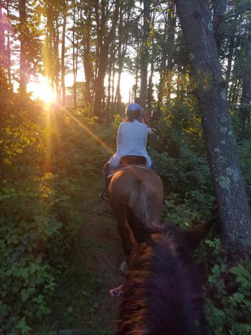 A person riding a horse through a forest at sunset, with sunlight filtering through the trees.