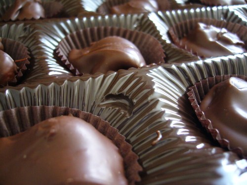 Close-up of assorted chocolate candies in a shiny tray, each nestled in a paper cup.