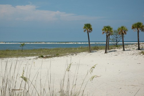 A serene beach scene with white sand, gentle waves, and palm trees under a blue sky.
