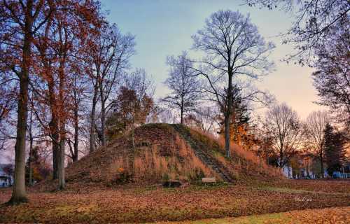 A grassy mound surrounded by bare trees and fallen leaves, with a soft sunset glow in the background.