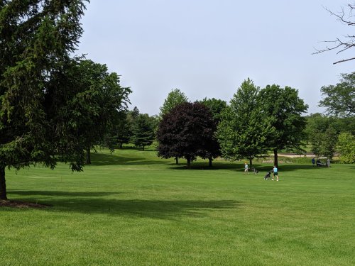 A lush green park with trees and people walking on the grass, enjoying a sunny day outdoors.