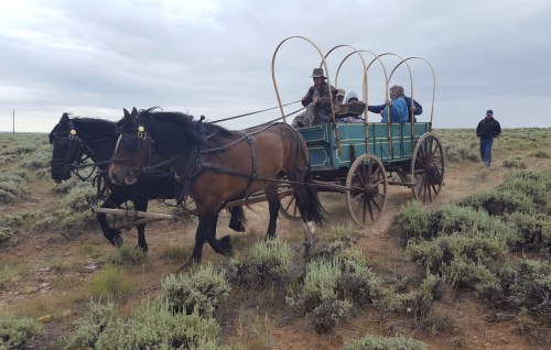 A horse-drawn wagon with passengers travels through a grassy landscape under a cloudy sky.