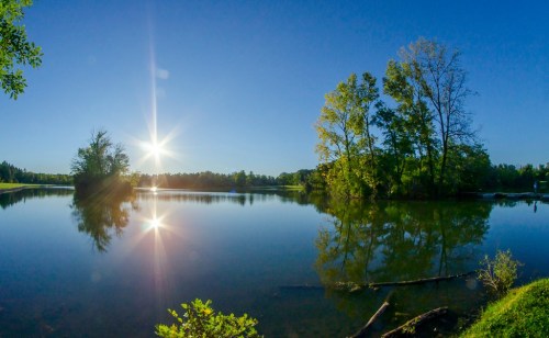 A serene lake reflecting trees and a bright sun under a clear blue sky.
