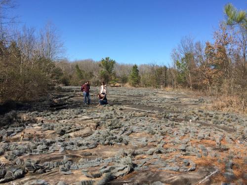 Two people explore a rocky landscape with sparse trees under a clear blue sky.
