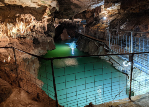 A dimly lit cave with stalactites, a green pool of water, and a metal railing along a walkway.