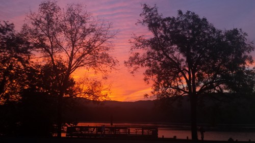 Silhouetted trees frame a vibrant sunset over a calm lake, with colorful clouds reflecting in the water.