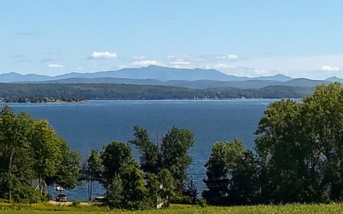 A serene lake view with mountains in the background, framed by lush green trees under a clear blue sky.