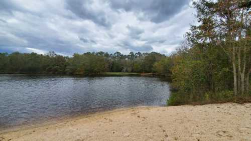 A serene lake surrounded by trees under a cloudy sky, with a sandy shore in the foreground.