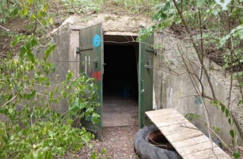 An overgrown entrance to a dark bunker, with green doors and a wooden plank leading inside. Surrounding foliage is visible.