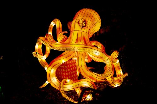 A vibrant lantern sculpture of an octopus with glowing orange and yellow hues against a dark background.