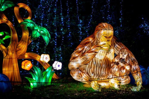 A colorful lantern display featuring a mother and baby orangutan beside a tree, surrounded by glowing flowers.