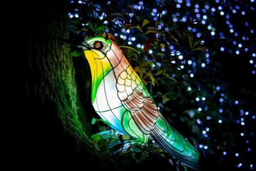 A colorful lantern in the shape of a bird, illuminated against a backdrop of blue fairy lights.