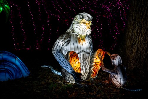 A colorful illuminated sculpture of a lion and a monkey sitting together in a dark, festive setting.