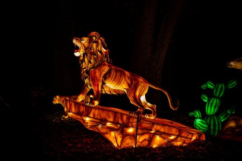 A glowing, illuminated lion sculpture stands on a rock, surrounded by dark trees and colorful plants.