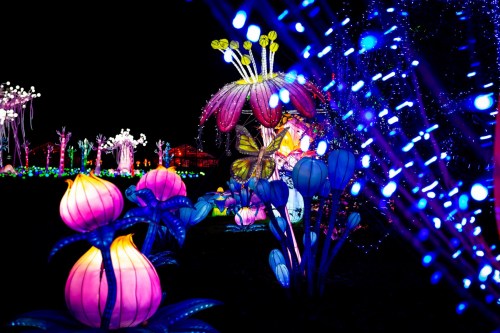 Colorful illuminated flowers and plants in a nighttime garden display, with vibrant blue and pink lights.