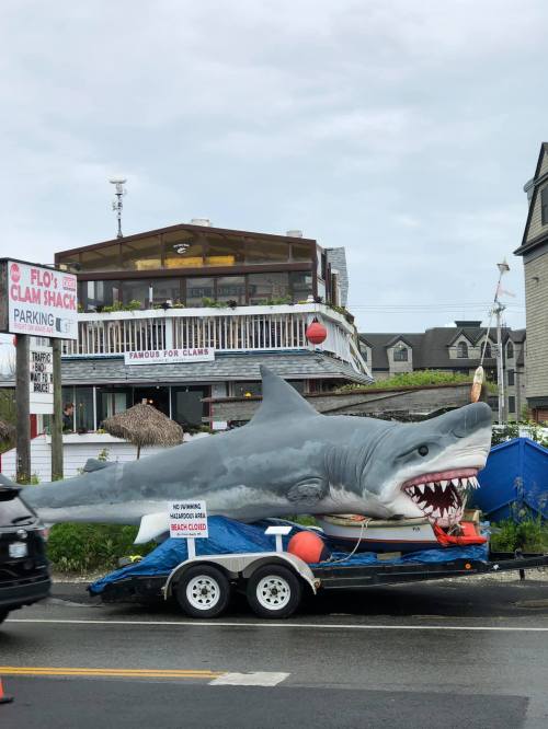 A large shark statue on a trailer in front of a seafood restaurant, with cloudy skies in the background.