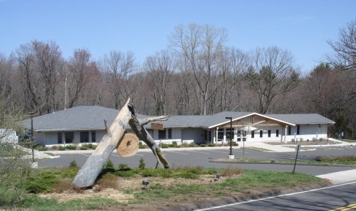 A modern building surrounded by trees, featuring a large, fallen tree trunk in the foreground. Clear blue sky above.