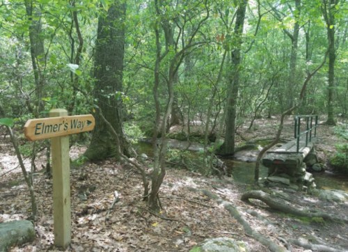 A wooden sign for "Elmer's Way" points towards a small bridge over a stream in a lush, green forest.