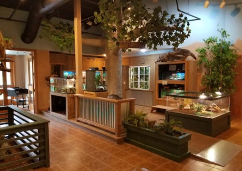 A spacious indoor exhibit featuring various animal enclosures, plants, and a tree, creating a naturalistic environment.