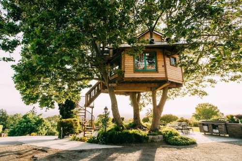 A charming treehouse nestled between two large trees, surrounded by greenery and a scenic view.