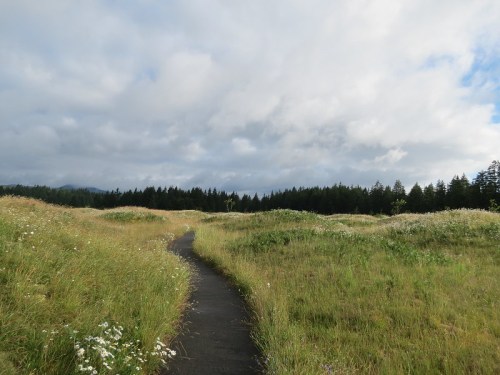 A winding path through a grassy field, surrounded by wildflowers and trees under a cloudy sky.