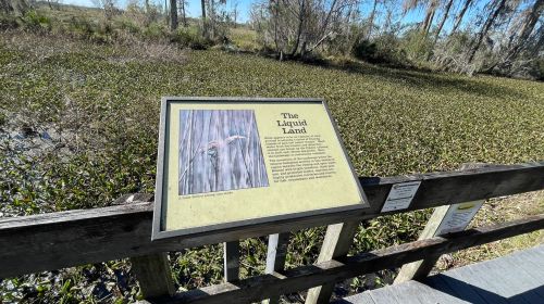 A sign titled "The Liquid Land" beside a wetland area, with trees and vegetation in the background.