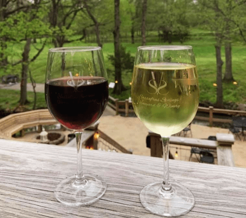 Two wine glasses on a wooden table: one filled with red wine and the other with white wine, set against a green outdoor backdrop.
