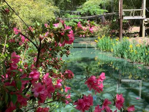 A serene pond surrounded by vibrant pink flowers and lush greenery, reflecting the peaceful landscape.