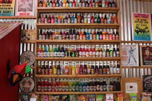 A colorful display of various soda bottles arranged on wooden shelves against a rustic wall.