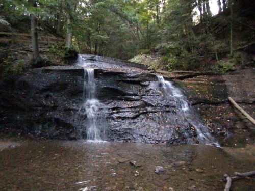 A serene waterfall cascading over dark rocks, surrounded by lush green trees in a tranquil forest setting.