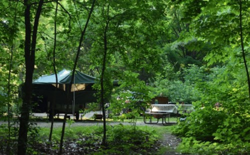 A serene campsite nestled among lush green trees, featuring a tent and picnic table in a peaceful forest setting.