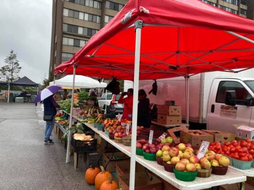 A vibrant farmers market stall with various fruits and vegetables under a red canopy, with a person holding an umbrella nearby.