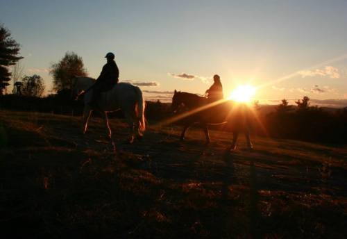 Two riders on horseback silhouette against a sunset, with trees in the background and a warm glow in the sky.