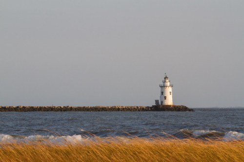A white lighthouse stands on a rocky jetty, surrounded by calm waters and tall grass in the foreground.