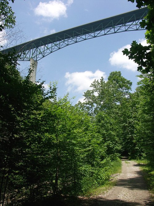 A view of a tall bridge above a lush green forest path under a bright blue sky with scattered clouds.