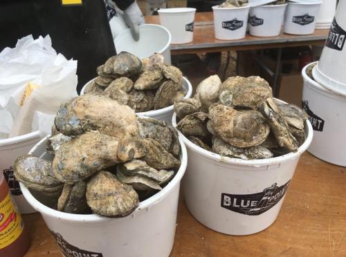 Buckets filled with fresh oysters, stacked on a wooden table at a seafood market.