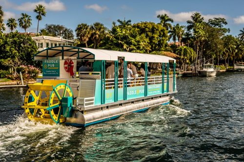 A paddle pub boat with passengers cruises along a scenic waterway surrounded by palm trees and greenery.