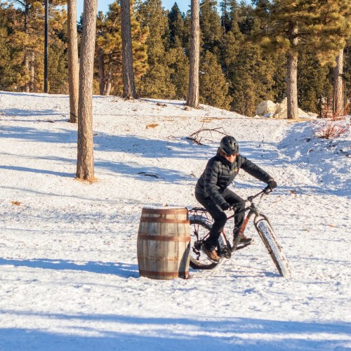 A cyclist rides through a snowy forest, maneuvering around a wooden barrel among tall pine trees.