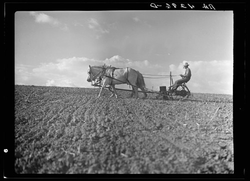 A farmer plows a field with a horse-drawn plow under a cloudy sky.