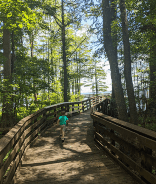 A child runs along a wooden boardwalk through a lush green forest, with trees lining both sides.