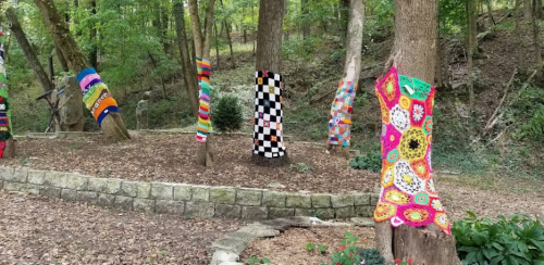 Colorful knitted and crocheted wraps adorn trees in a wooded area, creating a vibrant outdoor art installation.