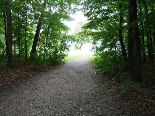 A gravel path leads through dense trees to a bright, open area in the distance.