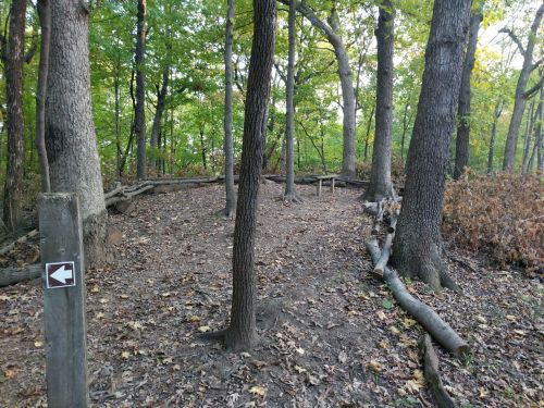 A wooded area with trees, fallen logs, and a trail marker pointing left. Leaves cover the ground.