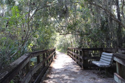 A wooden bridge leads through a lush, green forest, with a bench on the side and sunlight filtering through the trees.
