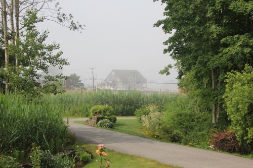 A foggy landscape featuring a winding path, lush greenery, and a distant house partially obscured by mist.